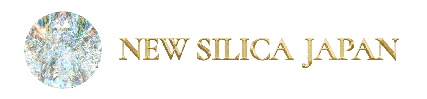 株式会社ニューシリカジャパン
